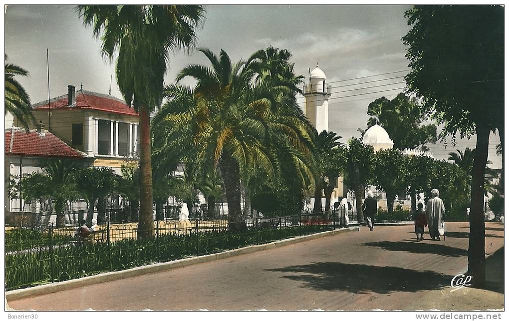 CPSM  ALGERIE SAIDA COMMUNE MIXTE