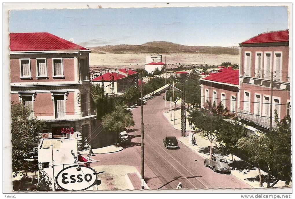 SAIDA -  algerie -le boulevard clemenceaux  ____________5542