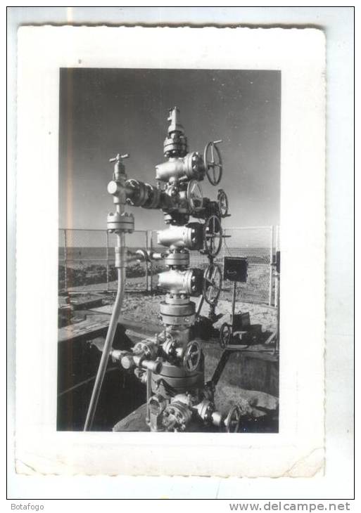 CPM  HASSI MESSAOUD, ARBRE DE NOEL