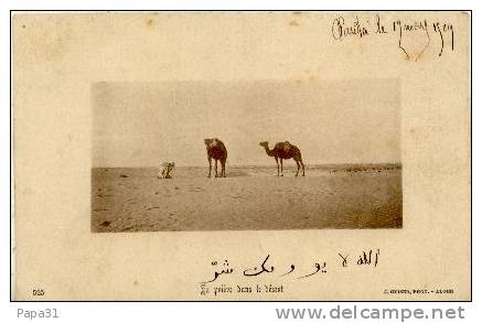 SAÏDA  - La priére dabs le désert