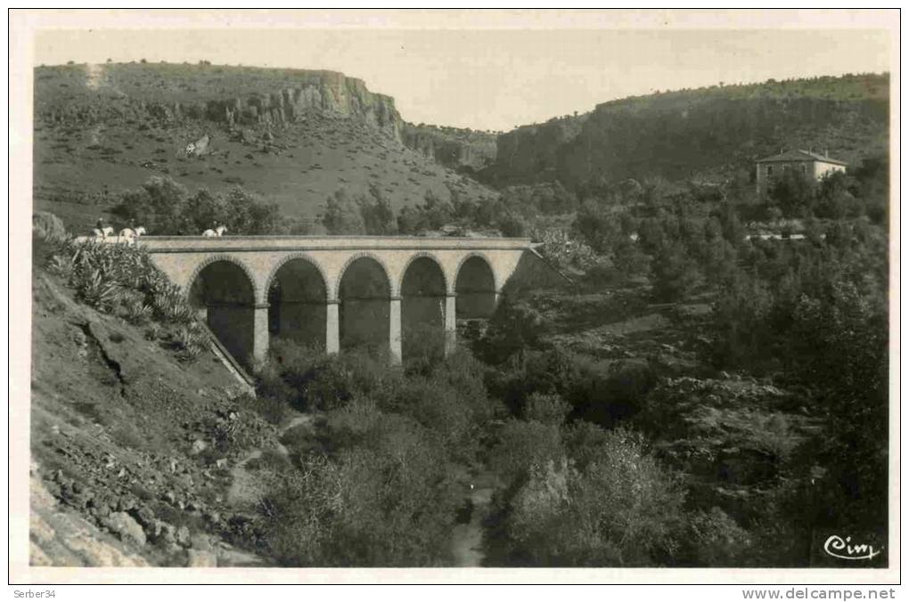 ALGERIE  -  DZ-O55  -  SAÏDA - VIEUX SAÏDA ET LE PONT