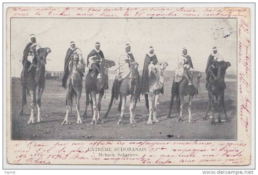 cpa Algerie Extreme Sud Oranais Méhariste Saharien Obliteration Saida pour Asnieres 1903  type Mouchon