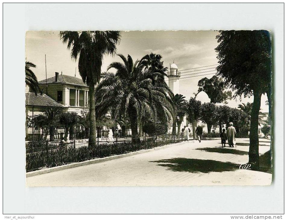 200 )  SAIDA. La Commune Mixte  . (2 Scans) .Année 19** . Édit./Phot *  .Exp/Dest *