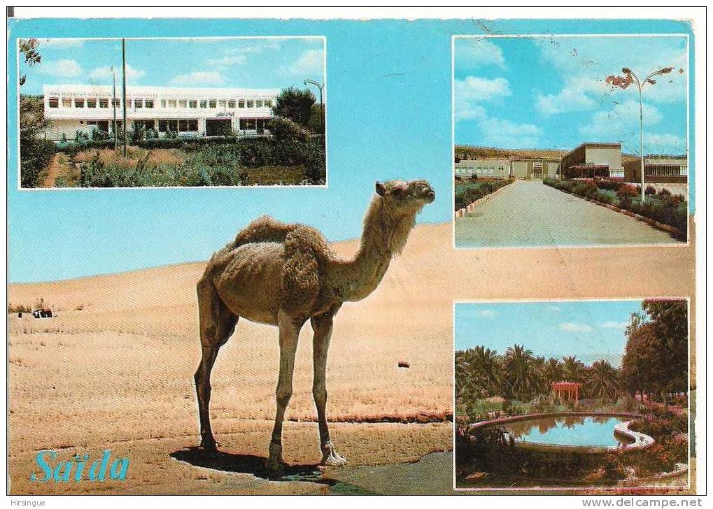 Saida - CPM - Place Emir Abdelkader