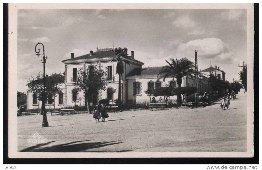 ALGERIE...SAIDA......L ECOLE MIXTE............ECRITE..   ‹(•¿  •)›