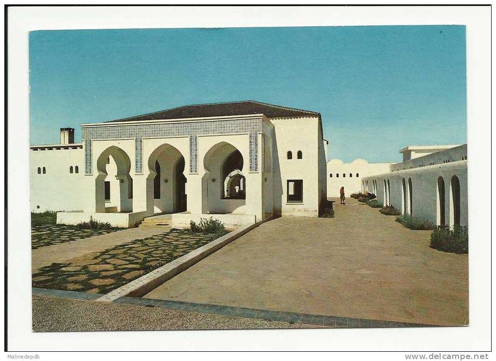 CP SAIDA - HAMMAM RABBI