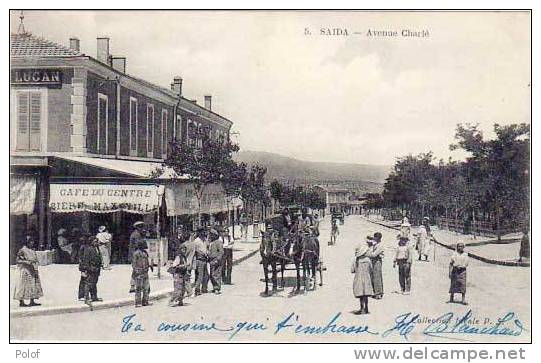 SAIDA - avenue charle cafe du centre - attelage    (19437)