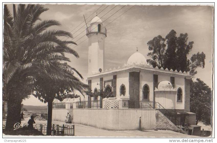 CPSM ALGERIE SAÏDA La Mosquée 1955