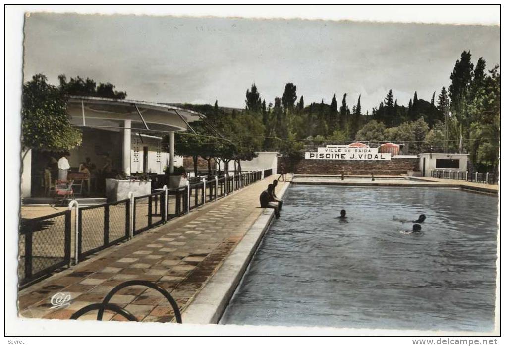 SAIDA. - La Piscine Municipale J. VIDAL.  CPSM 9x14