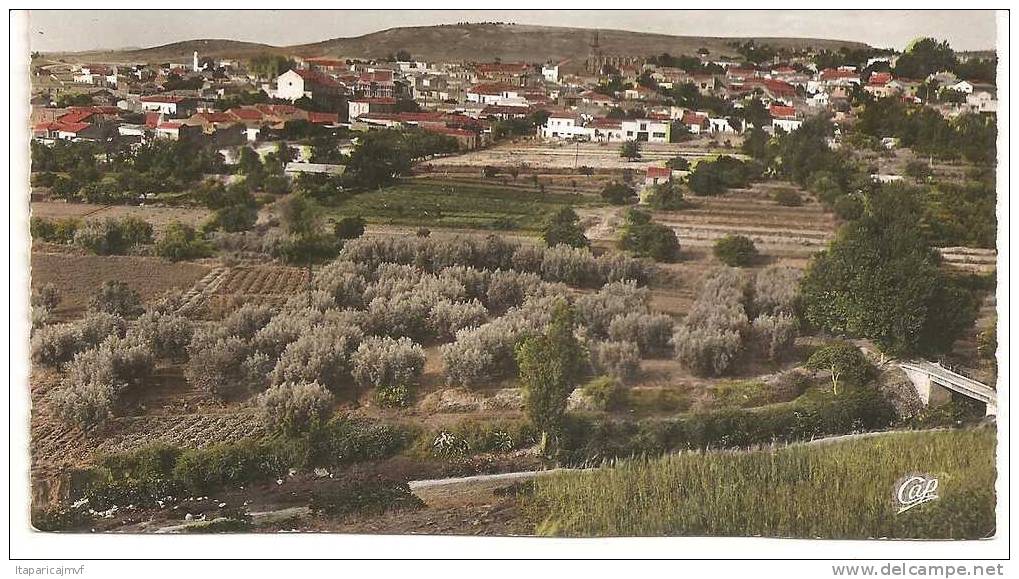 algérie  SAIDA   vue