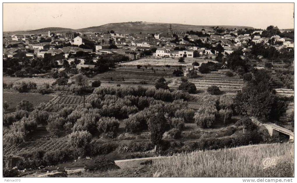 ALGERIE SAIDA - Vue générale