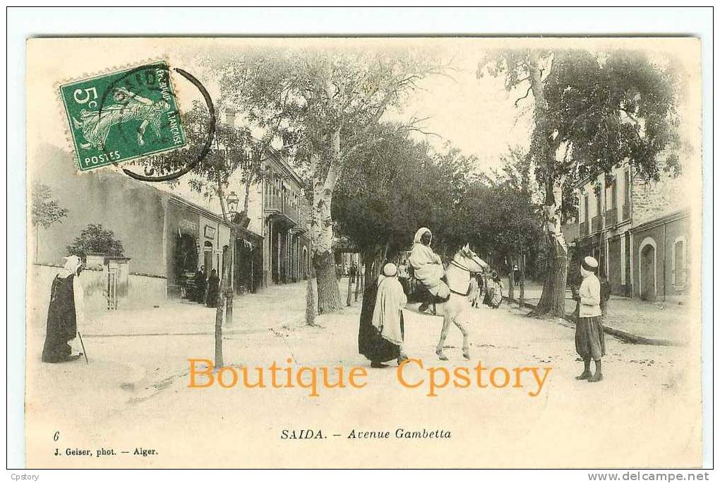 ALGERIE - SAIDA - Avenue Gambetta - Photo Geiser n° 6 - Dos Scané