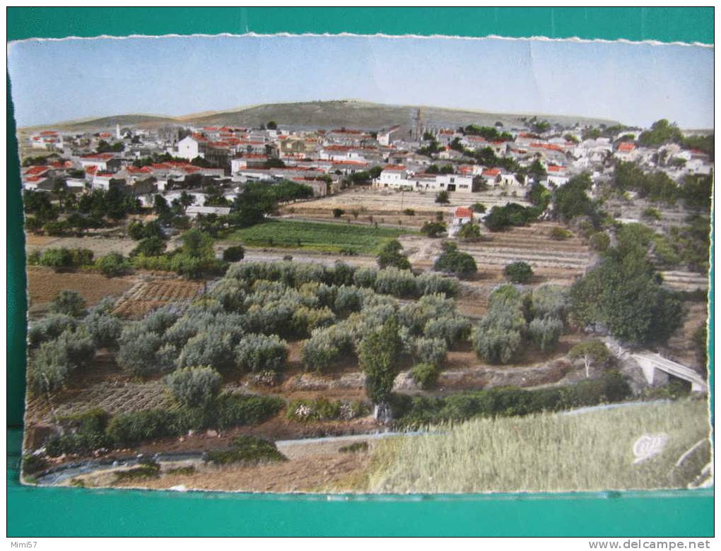 C.P.M. ALGERIE - SAIDA - Vue générale