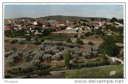 Sud Oranais - SAIDA -  Vue générale couleur