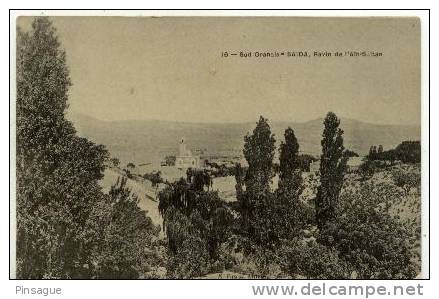 Sud Oranais - SAIDA -  Ravin de l'Aïn-Sultan