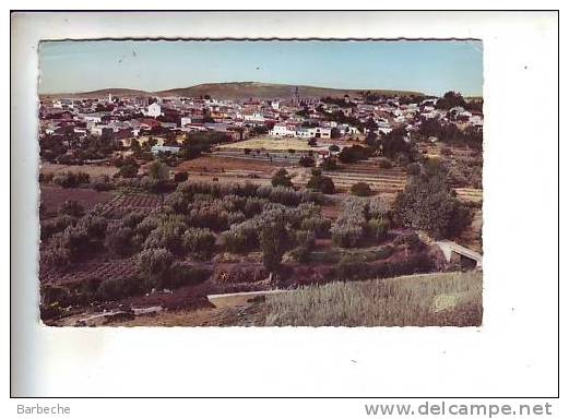 SAÏDA .- Vue générale