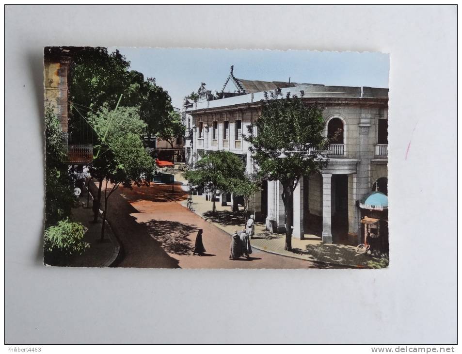 SETIF  RUE SILLEGUE ANIMEE