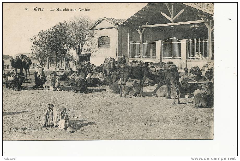 Setif 40 Le marché aux grains coll. ideale PS