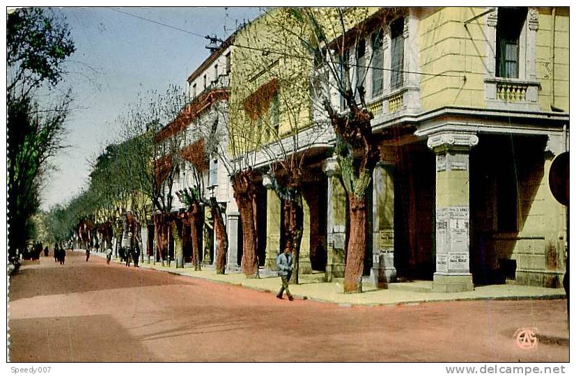 Belle CPSM format cpa  -  Sétif.L' Avenue Clémenceau. J 589 animée