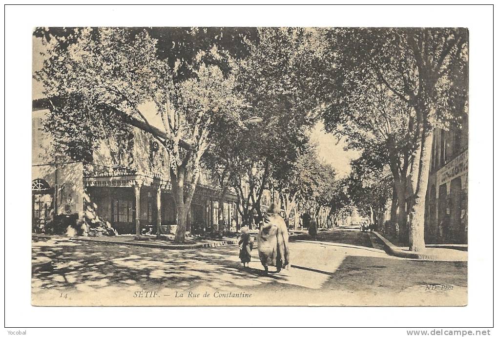 cp, Algérie, Sétif, La Rue de Constantine
