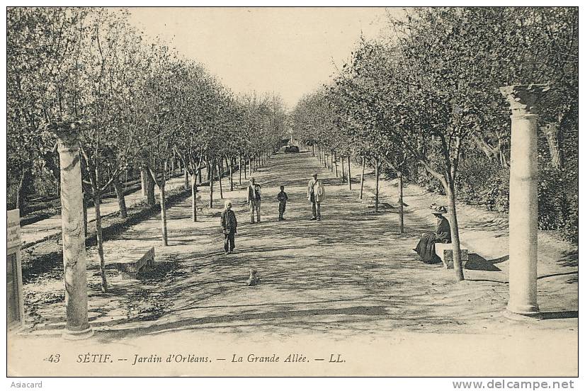 Setif    43 Jardin d' orleans La grande allée LL ecrite 1913