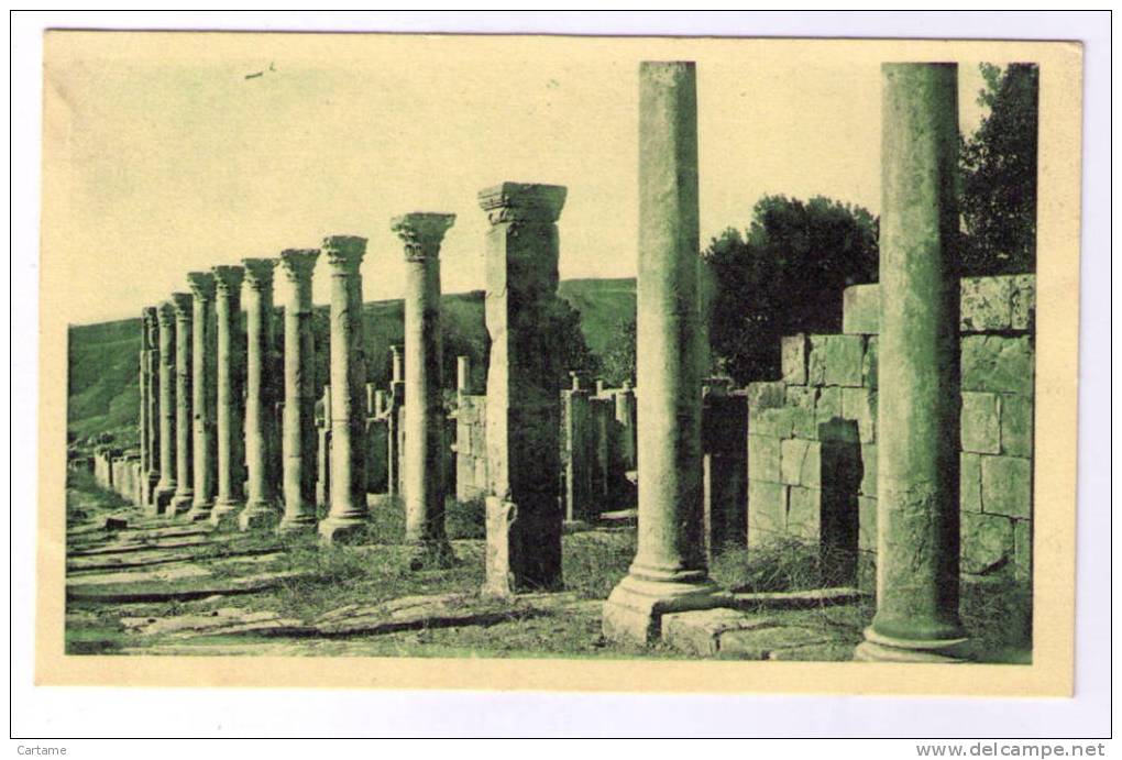 Algérie DJEMILA Le grand Cardo