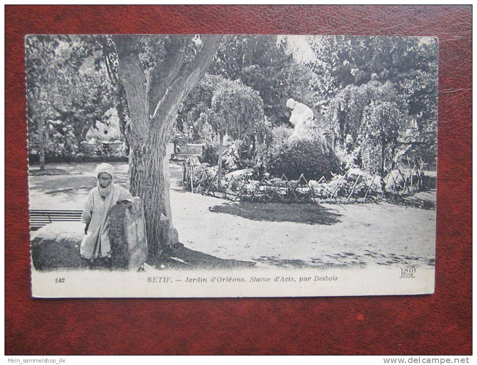 Setif Jardin d´ Orleans Statue d´ Acis par Desbois Algerien CPA AK