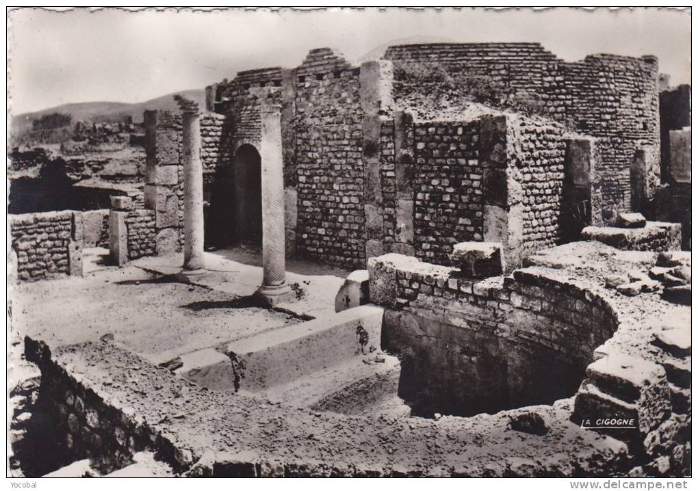 cp , ALGÉRIE , DJEMILA , Baptistère et piscine de bains