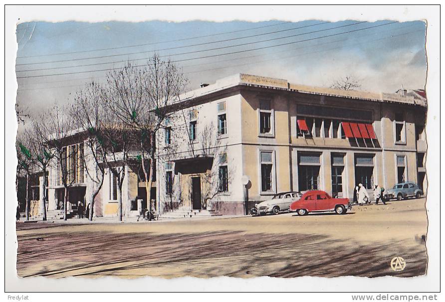 SETIF  HOTEL DE VILLE ET LA SALLE DES FETES CARTE CIRCULEE
