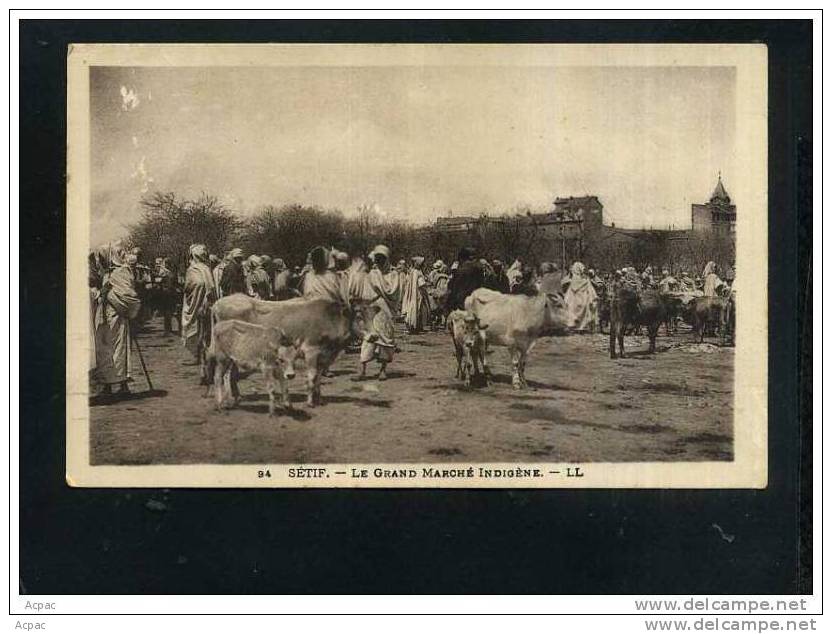 Setif le Grand Marche Indigene