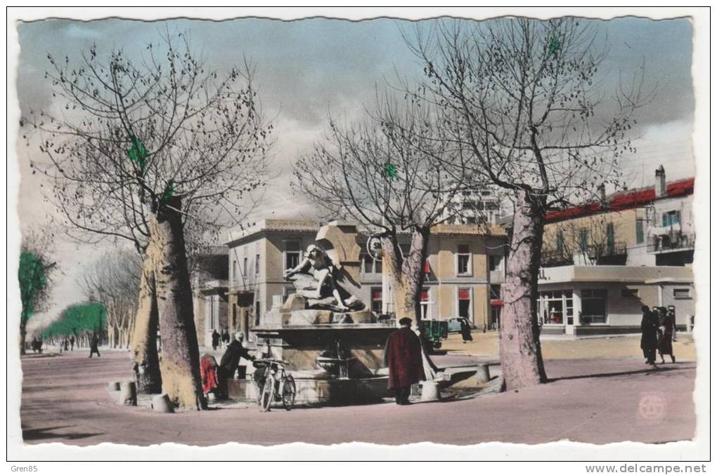CPSM COLORISEE SETIF, LA FONTAINE MONUMENTALE, format 9 cm sur 14 cm environ, ALGERIE