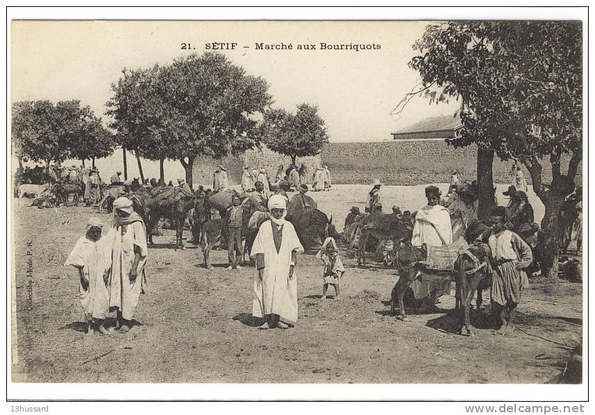 Carte Postale Ancienne Algérie - Sétif. Marché aux Bourriquots - Anes