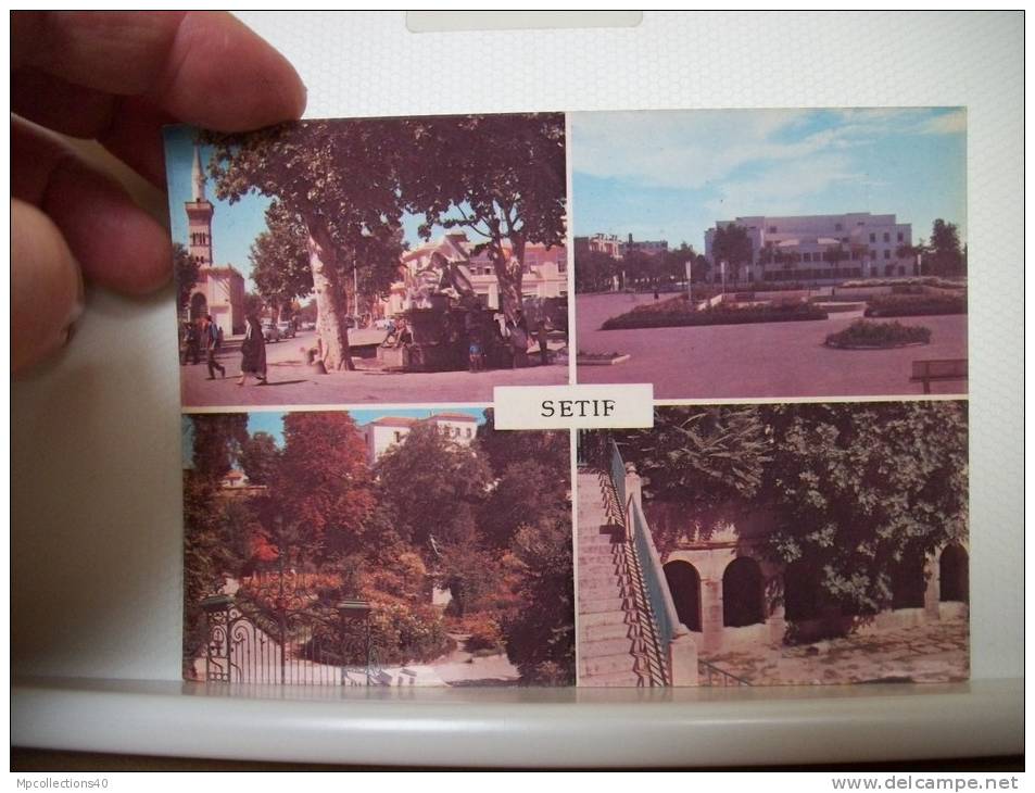 CPM - SETIF - MULTIVUES 4 VUES / MULTIVIEW 4 VIEWS (EDITIOR R.E.A.R. TLEMCEN)