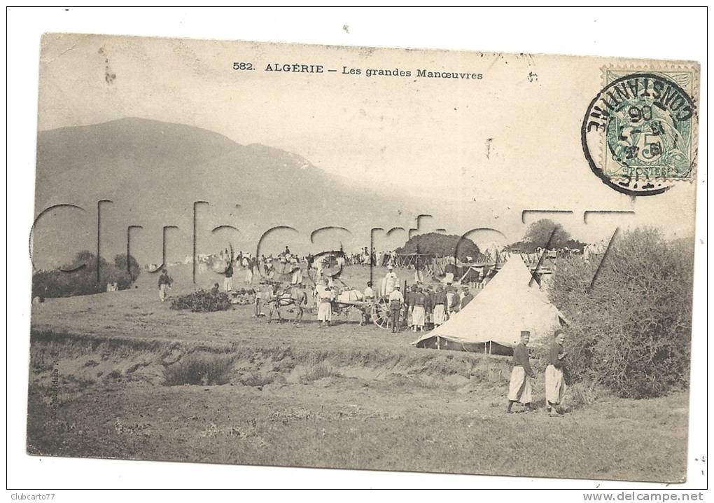 Sétif (Algérie)  L'attelage pour la cuisine dans le campement des Grandes Manoeuvres env 1906 (anime).