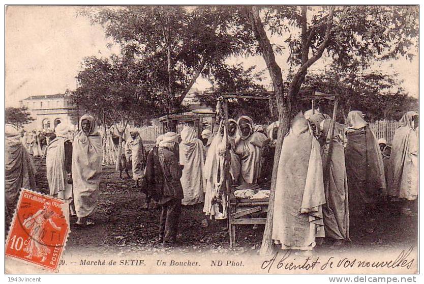 C 7898 -  SETIF - Algerie  - le marché - un boucher  - Belle CPA  -