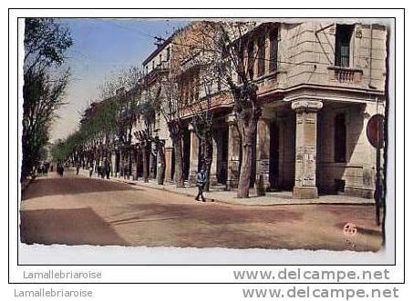 SETIF - L´AVENUE CLEMENCEAU
