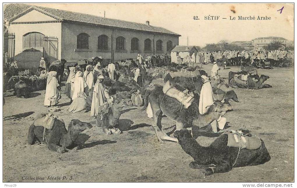 SETIF    LE MARCHE ARABE