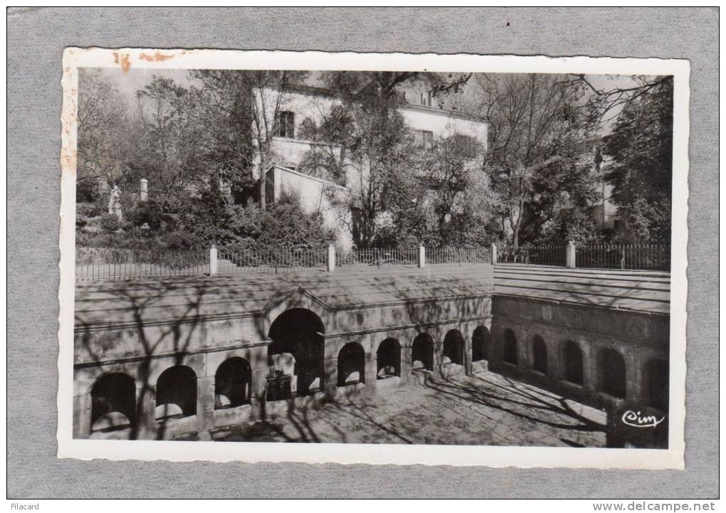 32584   Algeria,  Environs  de  Setif (Constantine),  Thermes  romains,  NV