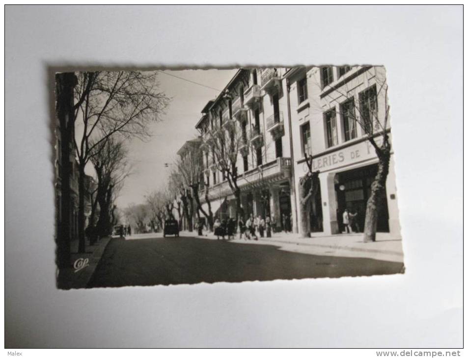 SETIF / Avenue Georges CLEMENCEAU