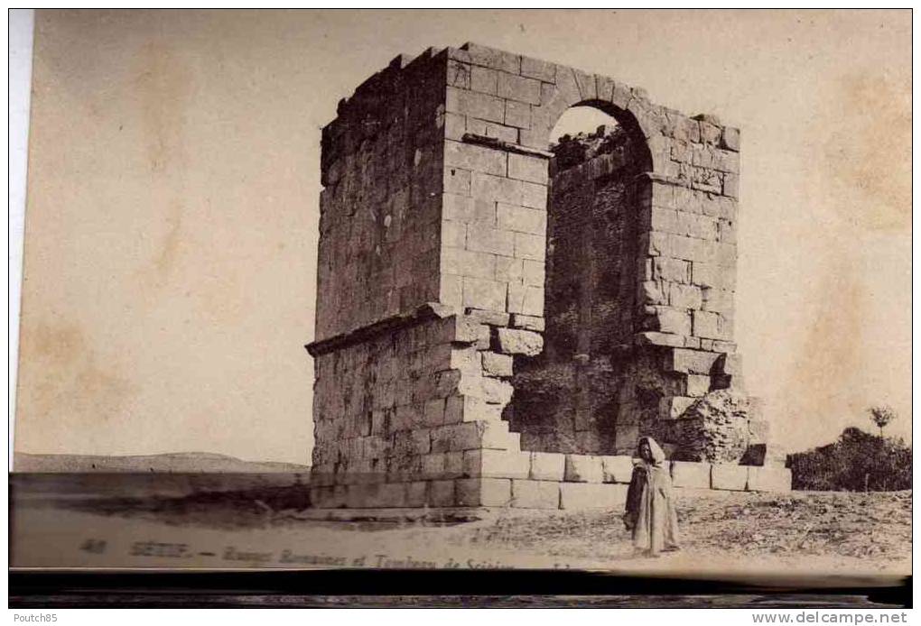 SETIF     PLUS       PORT  CH  OU  PAYPAL  AVEC LEURS  FRAIS