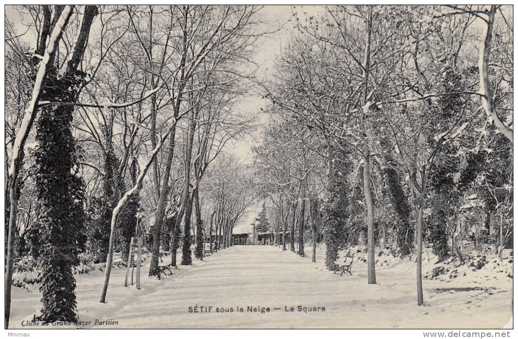 Sétif sous la neige - Le Square , 1915