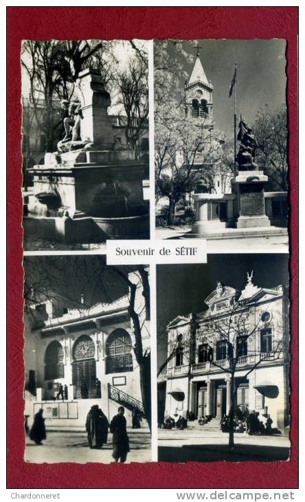 CPSM ALGÉRIE - Souvenir de SETIF - Jomone #1 - ALGERIA AFRICA AFRIQUE
