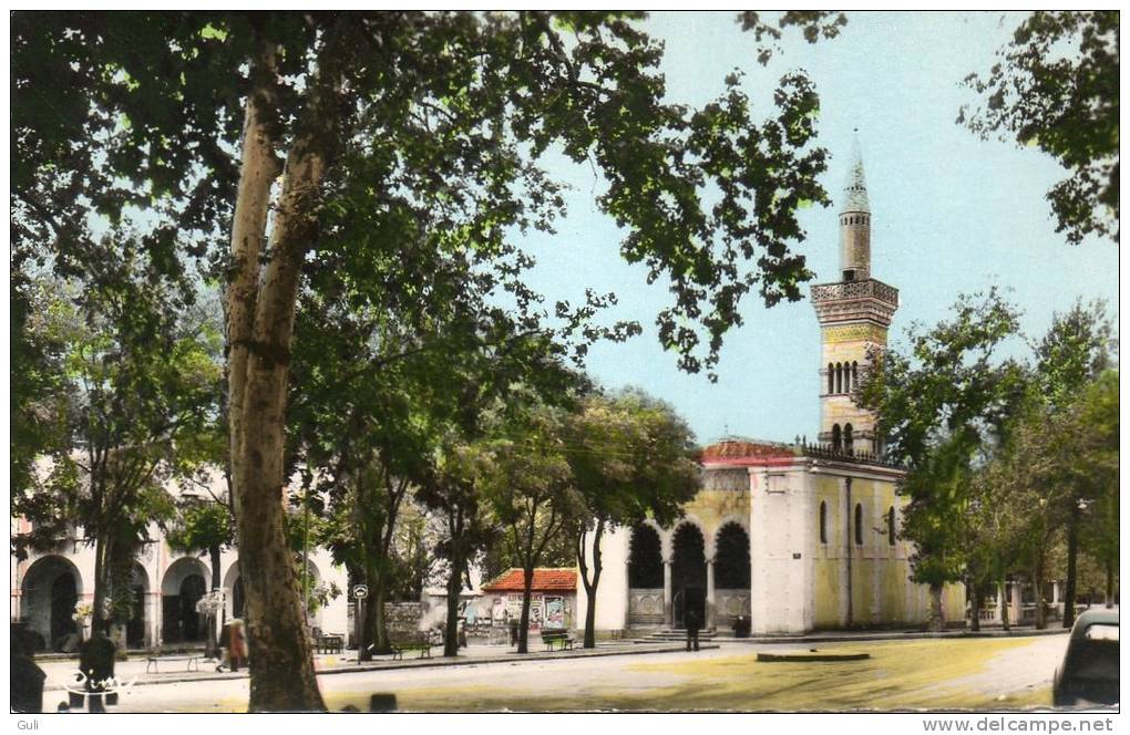 Algérie > SETIF - Jolie vue sur la Mosquée   * PRIX FIXE