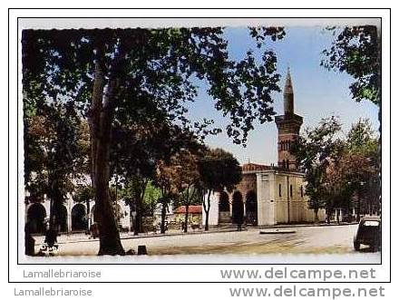 SETIF - JOLIE VUE SUR LA MOSQUEE