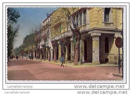 SETIF - L´AVENUE CLEMENCEAU