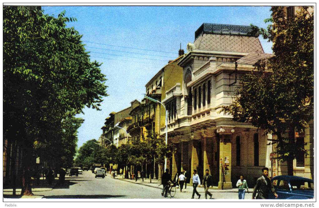 Carte Postale Afrique Algérie Sétif  animée trés beau plan