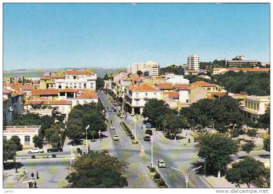 Algerie, Setif - Place du 8 Mai 1945, autos-voitures, circulé oui