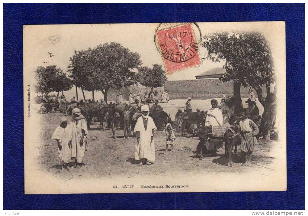 ALGERIE / ALGERIEN  SETIF    MARCHE AUX BOURRIQUOTS