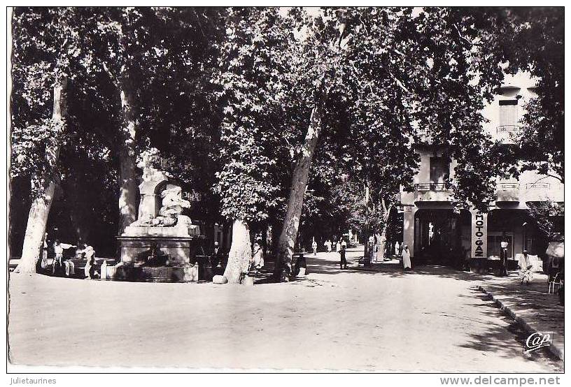 ALGERIE SETIF AVENUE CLEMENCEAU.CPA BON ETAT