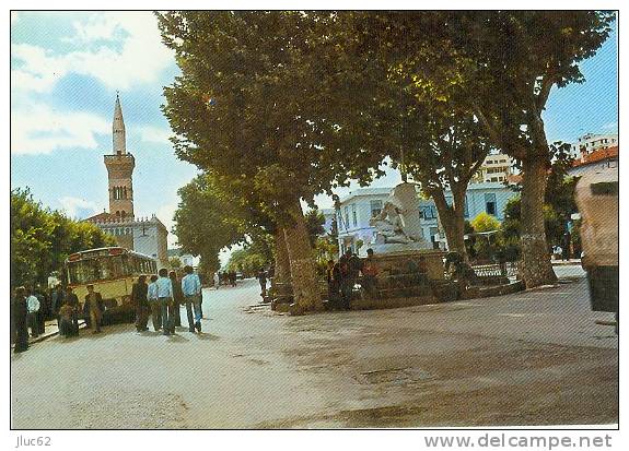 CP.  SETIF.  FONTAINE  AIN  FOUARA
